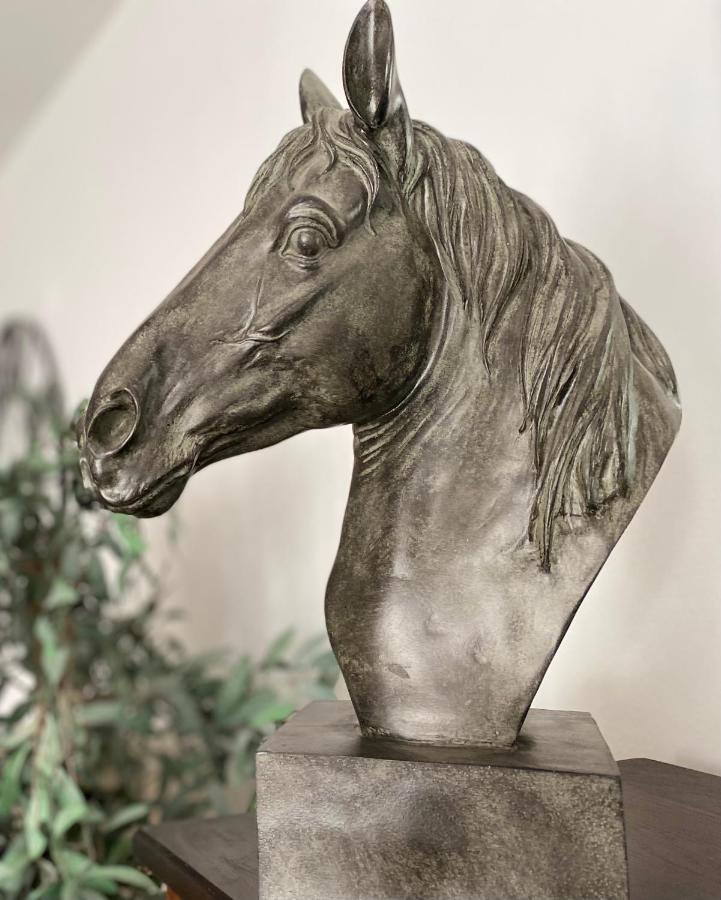 Newly Renovated Stables Conversion Holiday home